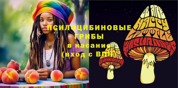 спайс Новозыбков