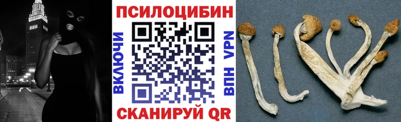 Галлюциногенные грибы Psilocybe  Талица 